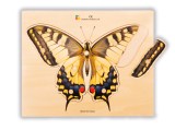 A3334110 Realistische puzzel vlinder 01 Tangara Groothandel voor de Kinderopvang Kinderdagverblijfinrichting